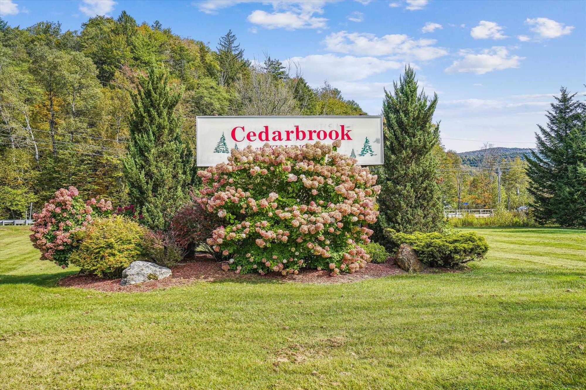 Cedarbrook Queen Suite 106 كيلنغتون المظهر الخارجي الصورة